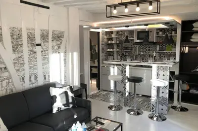 Cuisine ou kitchenette dans l'établissement Appartement Rousselet Quartier Bon Marché Paris VIIème