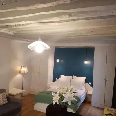 Cozy Stay near LOUVRE & St Germain Près Aldaro