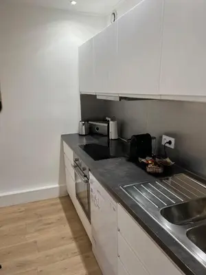 Cuisine ou kitchenette dans l'établissement NOTRE DAME - STYLISH APARTMENT