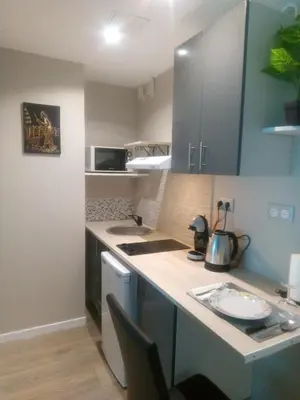 Cuisine ou kitchenette dans l'établissement Studio 28m² au pied de la défense