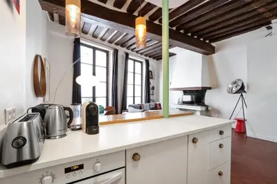 Cuisine ou kitchenette dans l'établissement Parisian Apartment With Terrace in Saint Michel-Notre Dame
