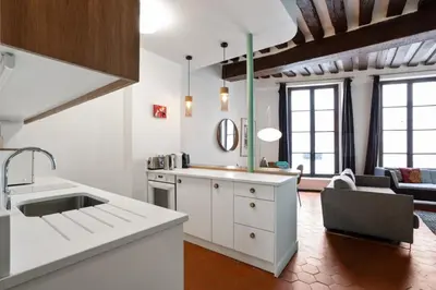 Cuisine ou kitchenette dans l'établissement Parisian Apartment With Terrace in Saint Michel-Notre Dame