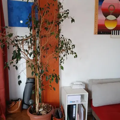 Plan de l'établissement proche Paris chambre hôte