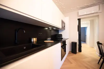 Cuisine ou kitchenette dans l'établissement Luxury apartments in Paris Center