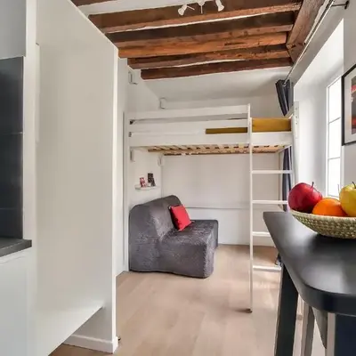 Lovely Mezzanine Studio in the Heart of Paris 3M