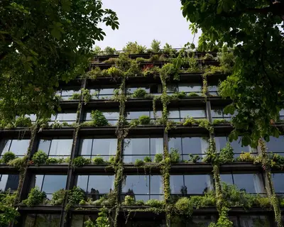 Jardin de l'établissement Villa M