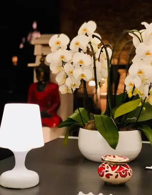 Plan de l'établissement BEAUTIFUL PLACE WITH BREATHTAKING PRIVATE ROOFTOP TERRACE 210m2 IN CITY OF LOVE PARIS