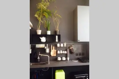 Cuisine ou kitchenette dans l'établissement Small arty studio Menilmontant