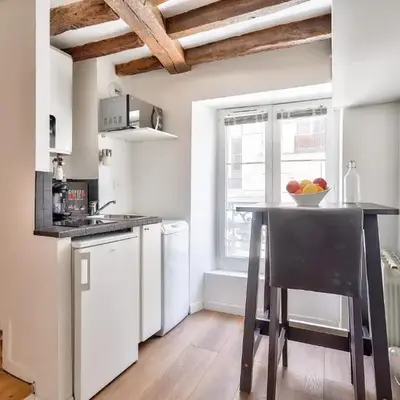 Cute and New Studio Duplex in the Heart of Paris