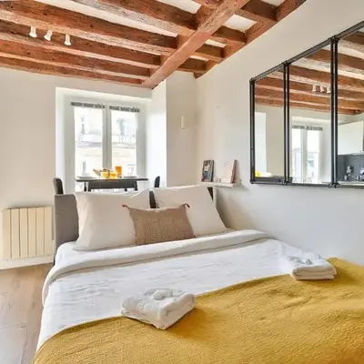 Cosy and New Studio in the Heart of Paris (5F)