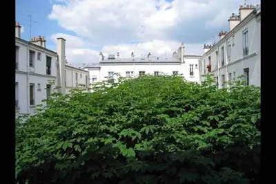 Jardin de l'établissement Charming apartment in Montmartre
