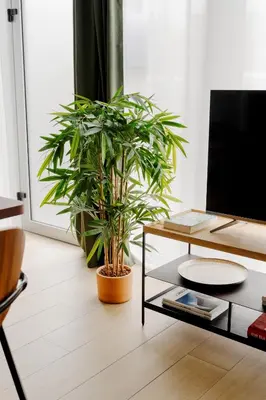 Télévision ou salle de divertissement dans l'établissement Edgar Suites Vicat - Porte de Versailles
