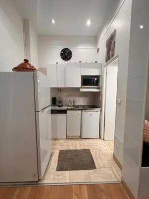 Cuisine ou kitchenette dans l'établissement Chic Studio at Arc de Triomphe and Champs Elysees