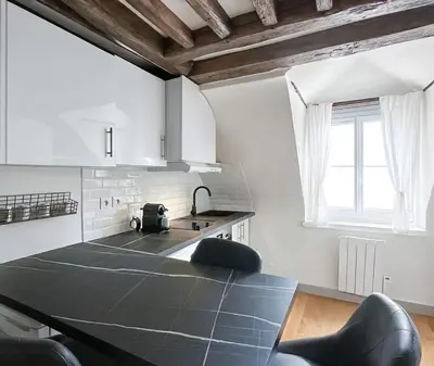 Cuisine ou kitchenette dans l'établissement Opera - Deluxe apartment for 4