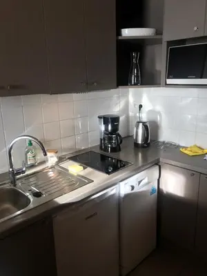 Cuisine ou kitchenette dans l'établissement Aparthotel XV Porte Versailles 2P 4 Pers Parking