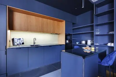 Cuisine ou kitchenette dans l'établissement Amazing apartments - Arc de Triomphe-Champs Elysée