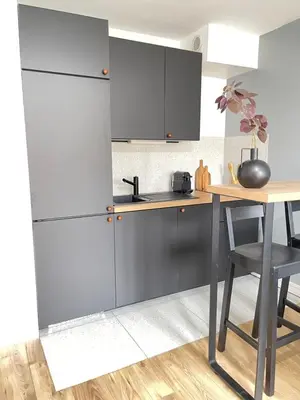 Cuisine ou kitchenette dans l'établissement Cosy appart proche PARIS