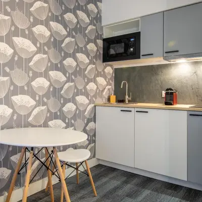 Cuisine ou kitchenette dans l'établissement New Studio Near Bois de Vincennes