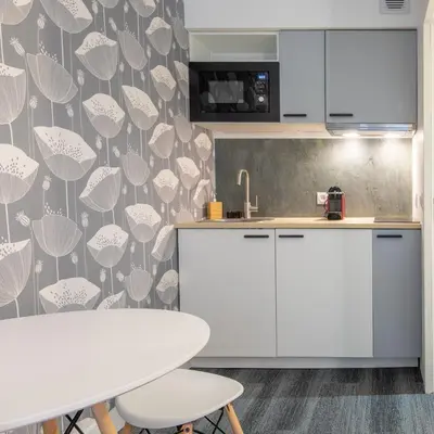 Cuisine ou kitchenette dans l'établissement New Studio Near Bois de Vincennes