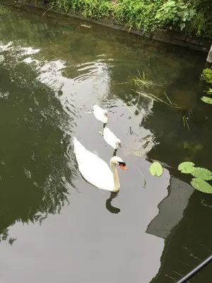 Plan de l'établissement Loft sur l'eau avec parking