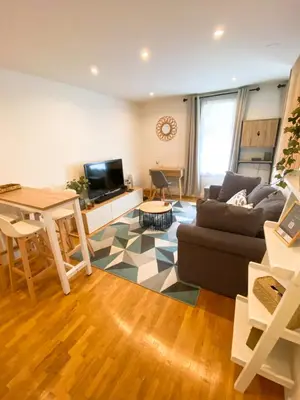 Coin salon dans l'établissement Cozy 2 pièces AUX PORTES DE PARIS !
