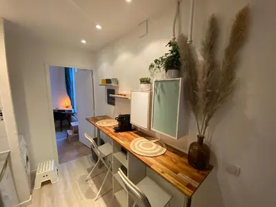 Cuisine ou kitchenette dans l'établissement Magnifique appartement T2 aux portes de Paris
