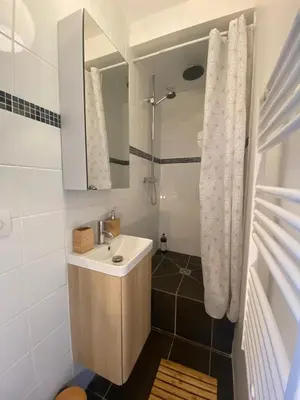 Salle de bains dans l'établissement Magnifique appartement T2 aux portes de Paris