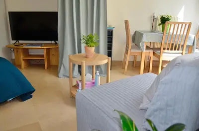Télévision ou salle de divertissement dans l'établissement Le Jardin Paris