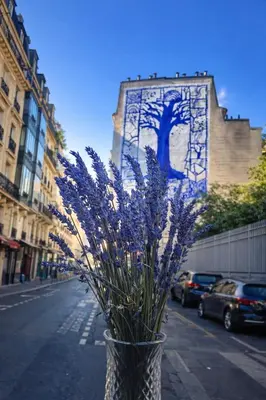 Plan de l'établissement Quartier d'Emily in Paris