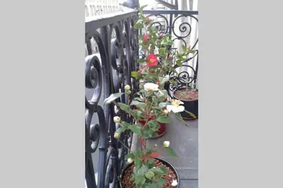 Jardin de l'établissement Quartier musiciens au coeur du 8ème proche de tout