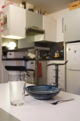 Cuisine ou kitchenette dans l'établissement Charmant studio au calme et bien desservi