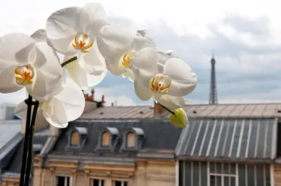Plan de l'établissement La Tremoille Paris