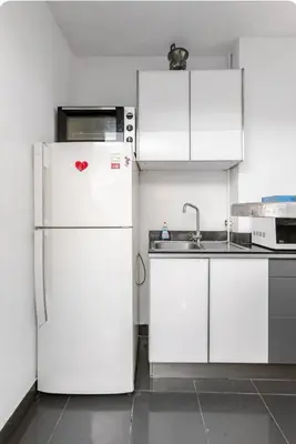 Cuisine ou kitchenette dans l'établissement Studio Élysées