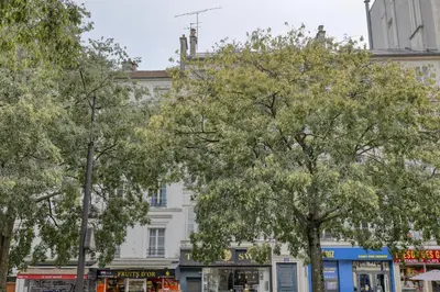 Plan de l'établissement New and quiet 1 Bdr Flat in the Heart of Paris 12