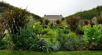 Jardin de l'établissement So Paris Group - Fully Serviced Studio Apartment - Jardin des Plantes - Heart of Paris