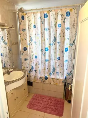 Salle de bains dans l'établissement Superbe appartement près du métro 4 proche Paris