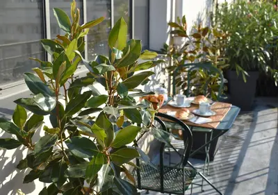 Jardin de l'établissement Artist Loft