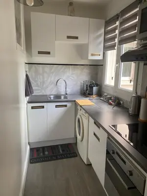 Cuisine ou kitchenette dans l'établissement Charmant 2 pièce 35m2