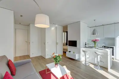 Cuisine ou kitchenette dans l'établissement Champs Elysées Apartment
