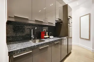 Cuisine ou kitchenette dans l'établissement Pick A Flat's Apartment in Triangle d'Or - Pierre 1er de Serbie
