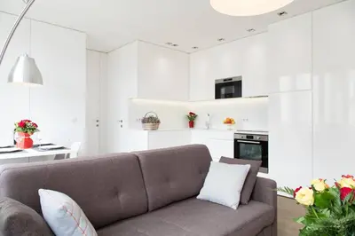 Cuisine ou kitchenette dans l'établissement Arc de Triomphe Apartment