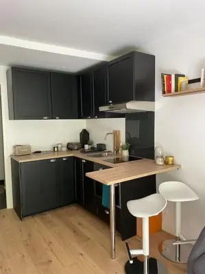 Cuisine ou kitchenette dans l'établissement Agréable et moderne studio à Neuilly avec jardin