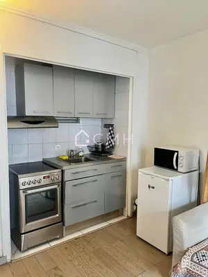 Cuisine ou kitchenette dans l'établissement Cosy studio next to exhibition centre Paris 15 em Porte de Versailles