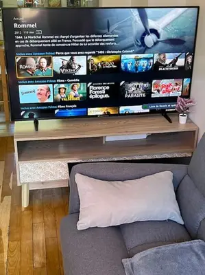 Télévision ou salle de divertissement dans l'établissement E - LOFT 10 min PARIS PARC EXPOS / 2 chambres / 6 lits