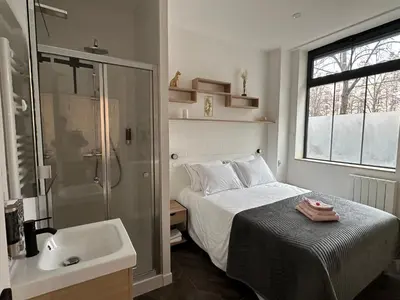 Salle de bains dans l'établissement Logement GUÉNOT pour 5 personnes sur Paris 11