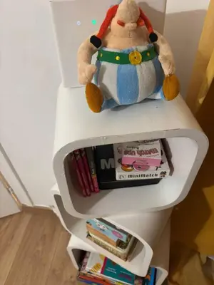 Bibliothèque dans l'appartement