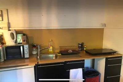 Cuisine ou kitchenette dans l'établissement Charming studio at the heart of 14 arrondissement