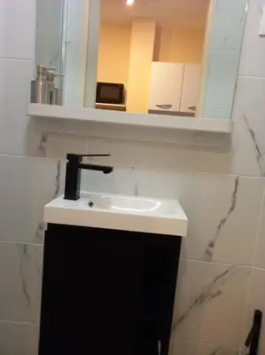Plan de l'établissement Paris XV: Superbe appartement