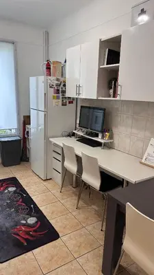 Cuisine ou kitchenette dans l'établissement Appartement avec balcon, 5 min du Métro 1-6, Nation, Disneyland, Zoo, Bois de Vincennes
