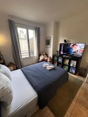 Télévision ou salle de divertissement dans l'établissement Appartement avec balcon, 5 min du Métro 1-6, Nation, Disneyland, Zoo, Bois de Vincennes